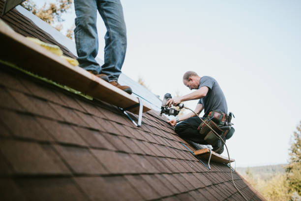 Best Roof Gutter Cleaning  in Hurstbourne Acres, KY